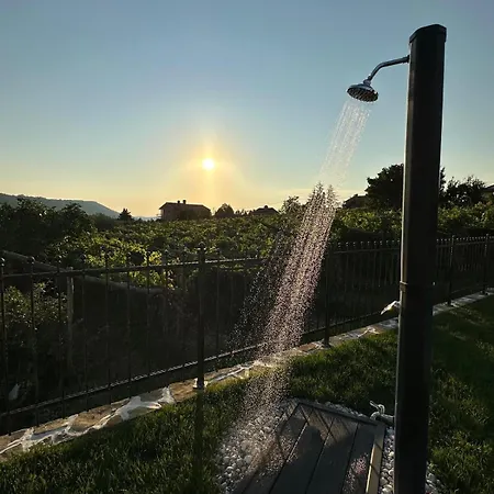 Eva Koper * ماريزيج