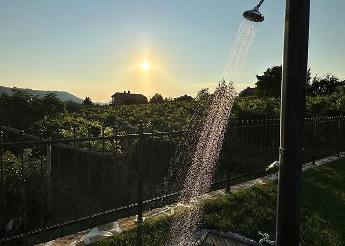 Eva Koper * מארזיגה